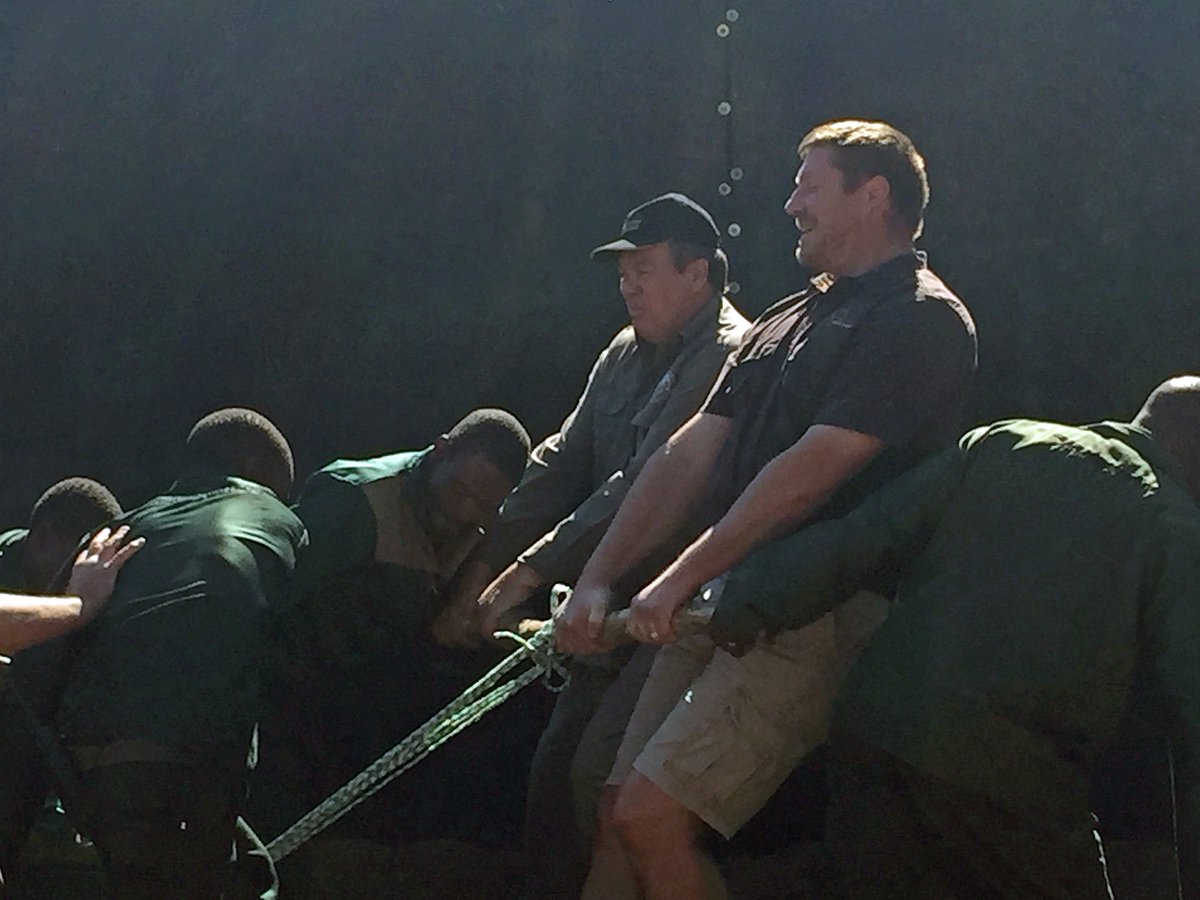 African Game Auction tweet media