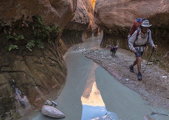 Amazing story of a man and his dog traveling for 60 days! Read their story @ngadventure ow.ly/pDIV301LUZQ