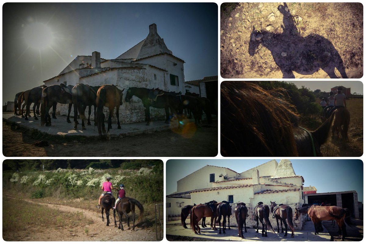 Fotovielfalt's tweet photo. Gracias @cavallssonangel  for the tour. Our daughter still talks about horse #Gedy😀 Gracias @PRINSOTEL for the hint! https://t.co/Glr9NSKPty