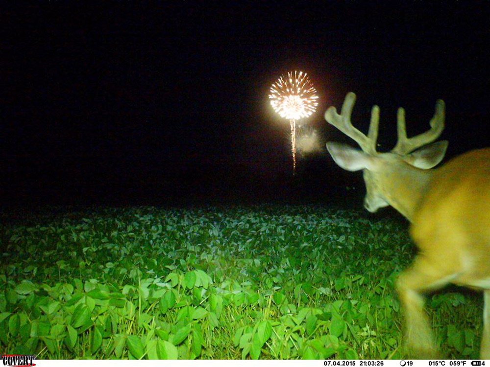 Trailcampro tweet media