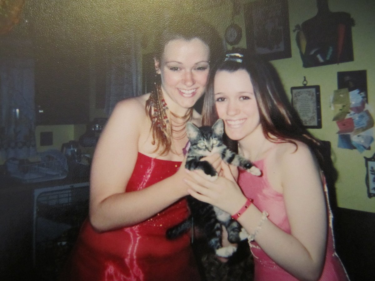 KittyPurrFace's tweet photo. Flash back Friday: Age 15 with my new kitten (rip Luna) https://t.co/RFy2LNLGVw