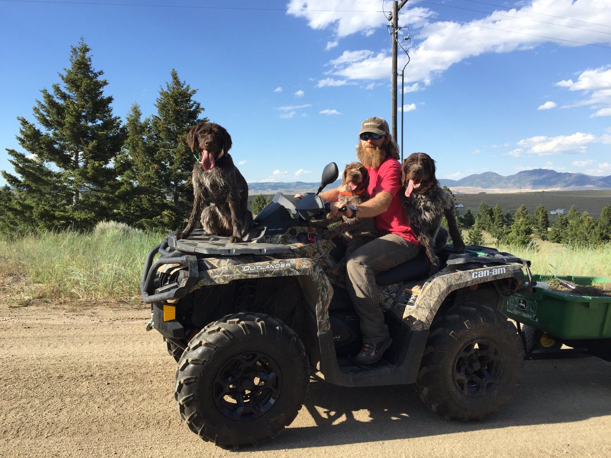 RockyMtnGriffs's tweet photo. We can ride too! #beardsfordays #rockymtngriffs #wirehairedpointingriffons https://t.co/jawf0sh9WE