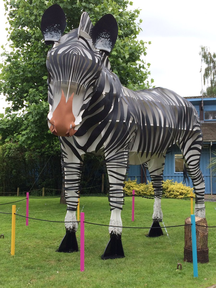 harmonyhelen's tweet photo. "Honey I shrunk the PA!!" #zebra #sculpture @Marwellwildlife #Gulliver @winchcomberec @ZanyZebras2016 #tinyPA https://t.co/jQS6xSkWG2