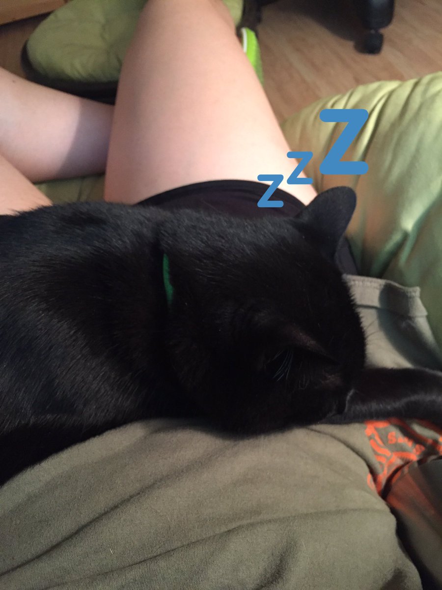booksandlists's tweet image. I finished my book and was going to get up and do something. Except. Cat. #imabed #shesnores