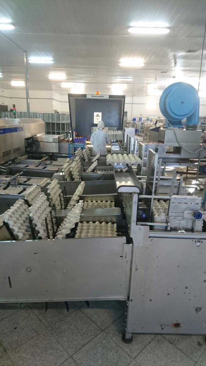 CarlosIRB2020's tweet image. #PAExperience Gracias @nutriHUEVOS