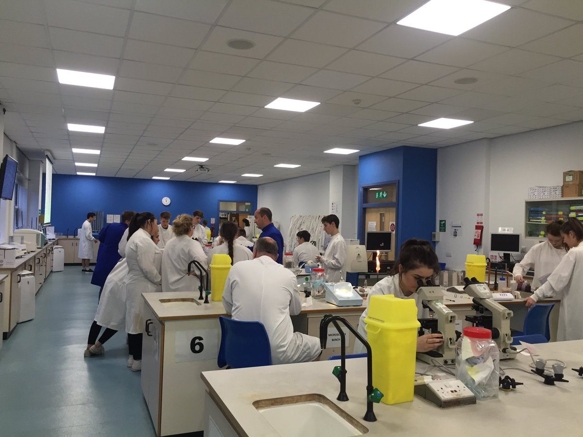 DrCathWithycomb's tweet photo. Fantastic lab session with @bolhs_science #microfun #futurescientists https://t.co/HpaeNkhXTr