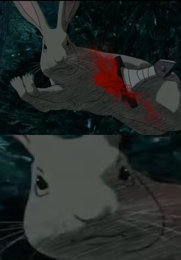 CmTbJNFXEAAqrVc.jpg:large
