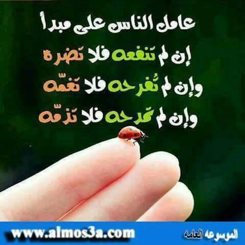 ابوعينها ابوعينها (@uc8c3pre3irkt5d) on Twitter photo 