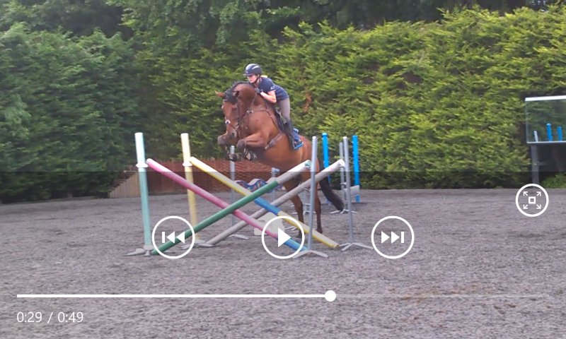 Thank u <a href="/HarrietUpton/">Harriet Upton</a> for putting Willby through his paces- prep for Brightling tomorrow..#scopey!#excitingprospect