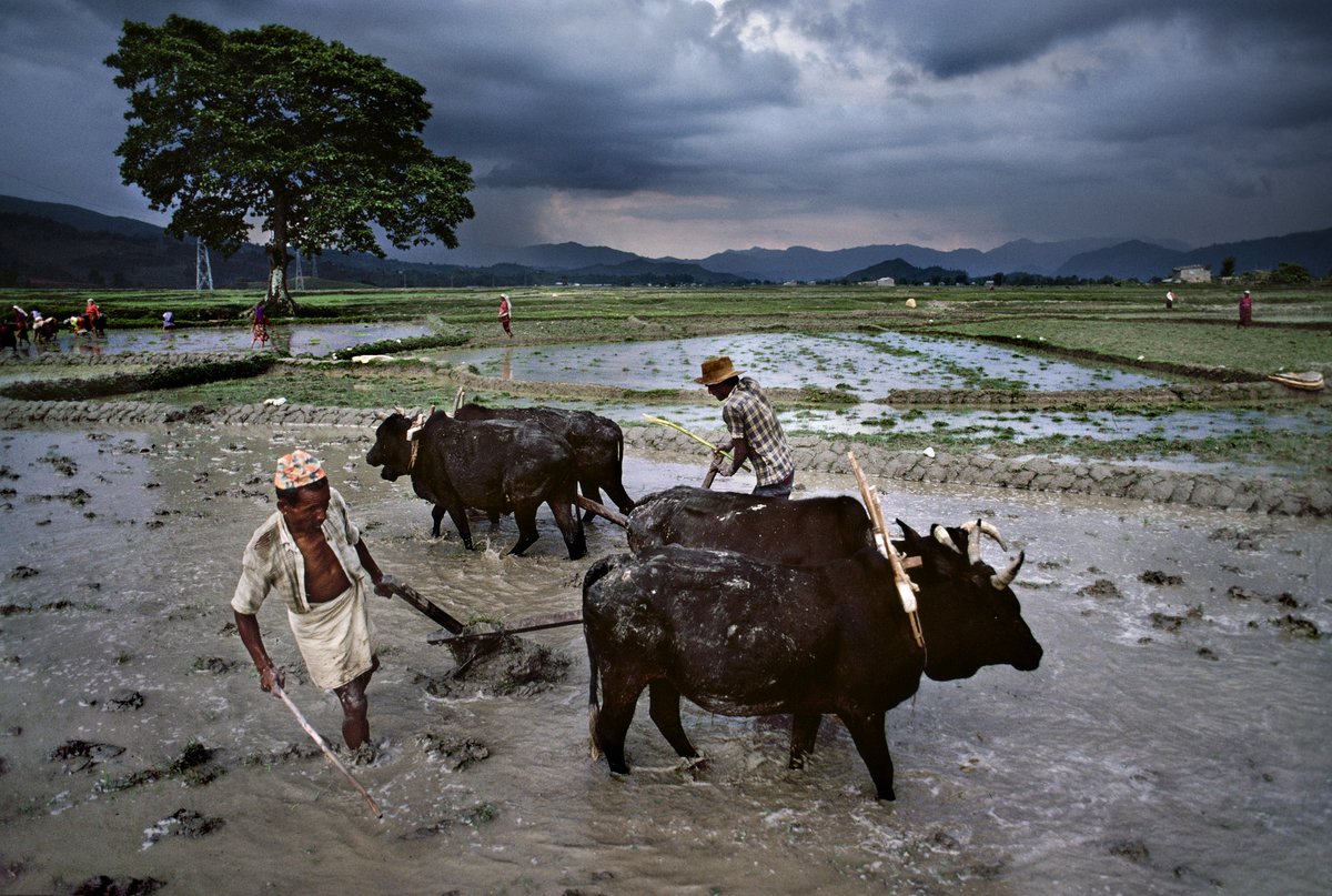 visitnepal2011's tweet photo. Welcoming the #monsoon season in Nepal. pic via https://t.co/nlqoopG0ad https://t.co/5kHXbrOTu6