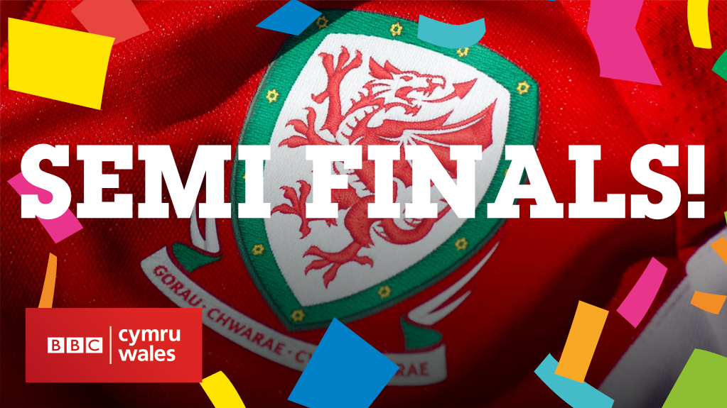 Tears.

#Euro2016 #WAL #WALBEL #ItsOurTime