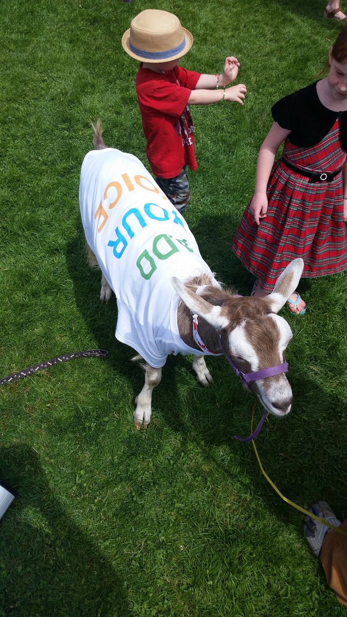 cvgovreview's tweet photo. The #Goats are adding their voice, will you? #GovReview #CanadaDay @cxvalleychamber https://t.co/XE4CHgXhHT