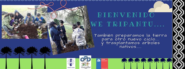 ValdiviaOpd's tweet photo. Compartimos con tod@s ustedes la bienvenida a este nuevo ciclo de renovación de la tierra.......... https://t.co/exEv4RQtjg