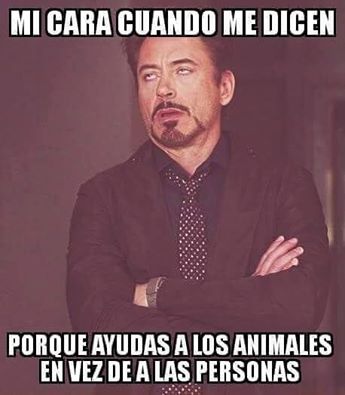 Animalesmsjs's tweet image. —  ✋🐶💔🐱