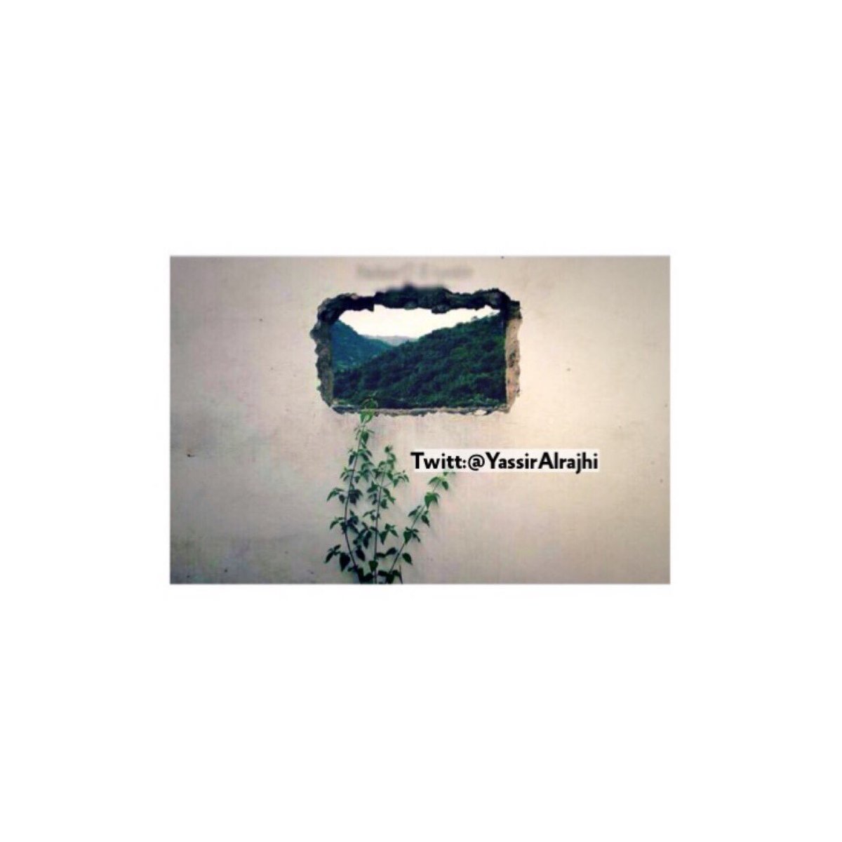 ⠀
عندما ينهار شيئاً في حياتك لا تحزن !
ربما كان يحجب عنك افاقاً سعيده [ 🌸 ]

#سر_سعادتنا_هو