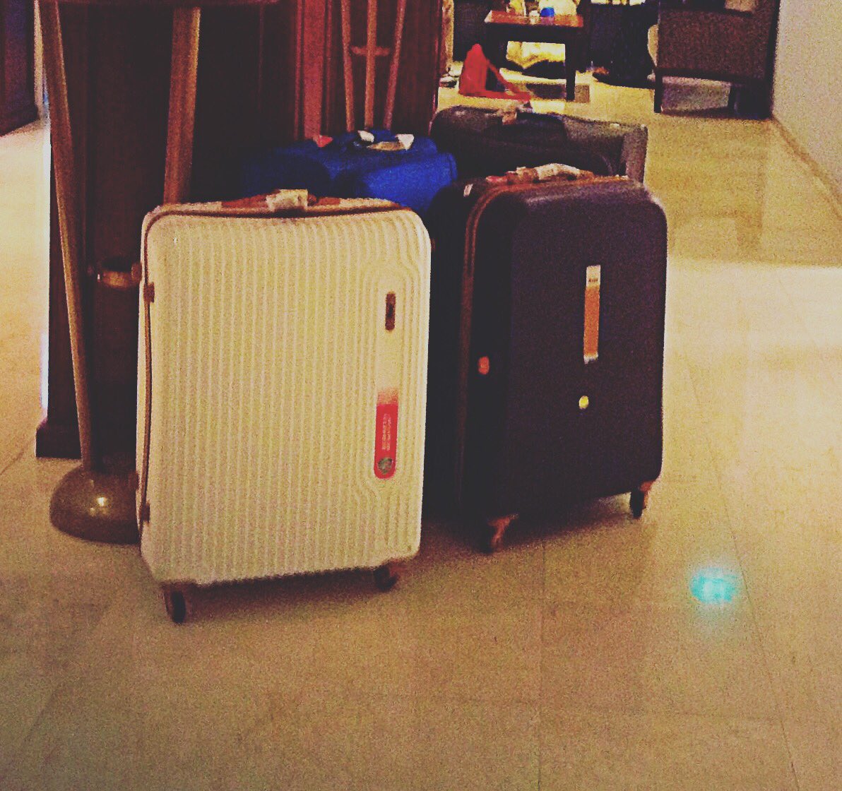 drnihargite's tweet photo. #nhcapelle #rotterdam #amsterdam travel with #vipbagsindia #nomad #travelblogger #tubestrolly #maybachstrolly https://t.co/sHKga35HX7