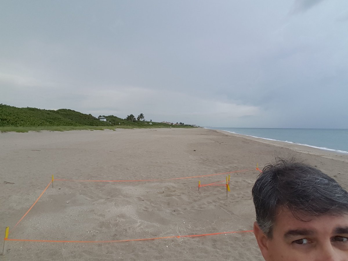 FS_EKiller's tweet photo. Saturday, 10 a.m., this is where to be for the Buy the Land photo opp #IndianRiverLagoon #algae #C4CW https://t.co/KQmgV6zIRg