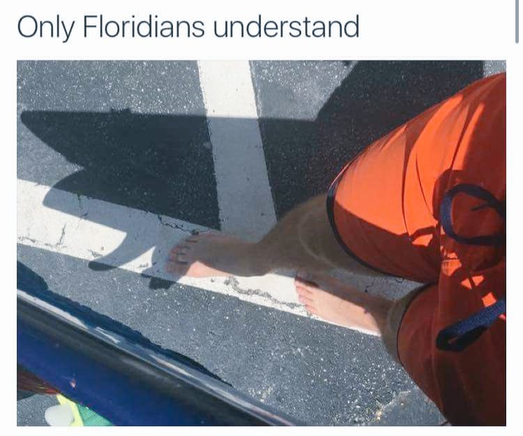DollyHellBunny's tweet photo. LMAO!! Coast to Coast actually...!! ๐๐๐ด #Florida #California #NameIt #LMAO #Shade #Please #KillerSun https://t.co/Qv2sbPGkTe