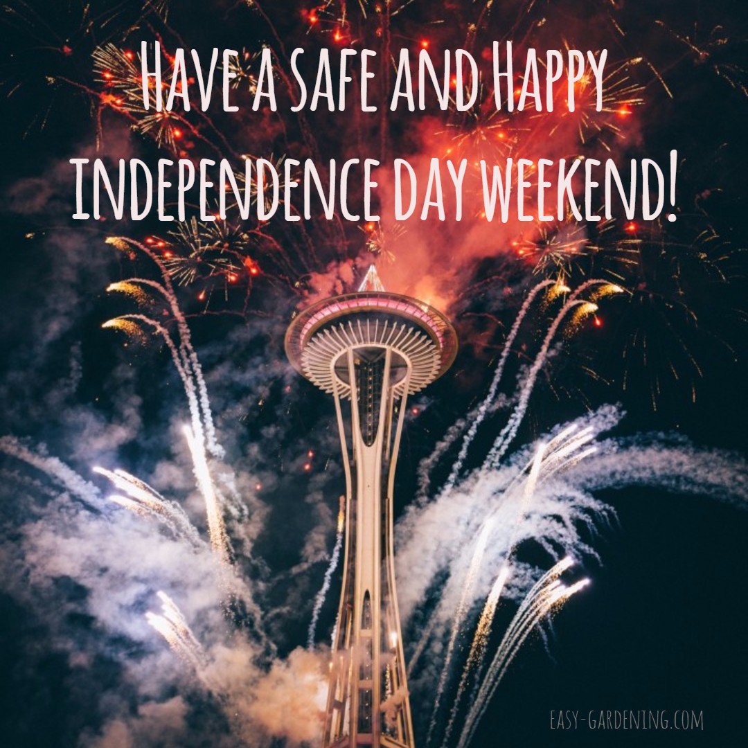 Happy 4th of July weekend!