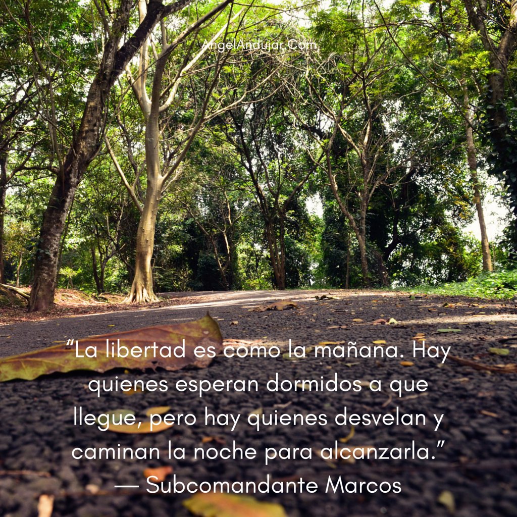 AngelCoachLife's tweet photo. "La #libertad es como la mañana. ...hay quienes desvelan... la noche para alcanzarla." – Subcomandante Marcos https://t.co/5a9ONOGZlo