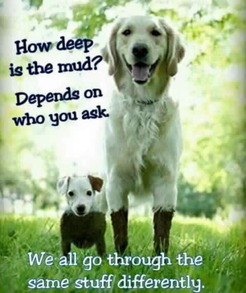 Paul J. Coran (@pjcoran) on Twitter photo 