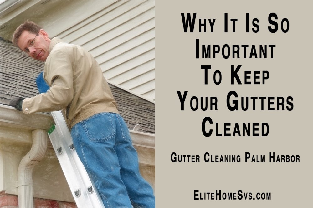 Why It Is So Important To Keep Your Gutters Cleaned | #GutterCleaning #PalmHarbor bit.ly/24xfjS5