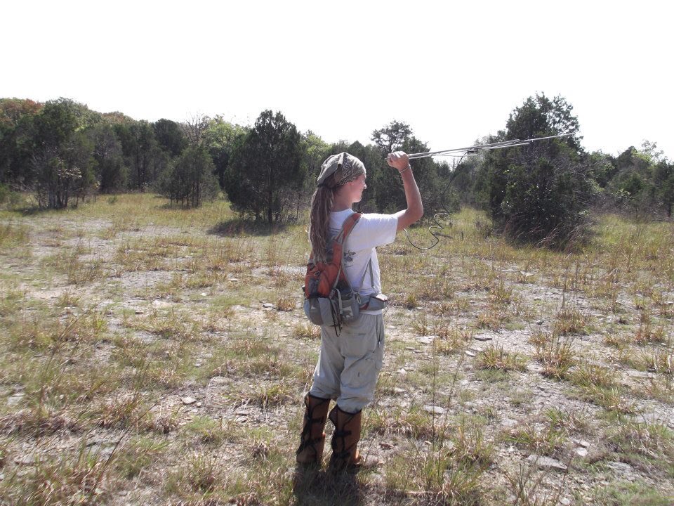 Tracking #MovementPatterns & #HabitatUse of #TimberRattlesnake in cedar glades #MTSU #FieldFlashBack #holohil