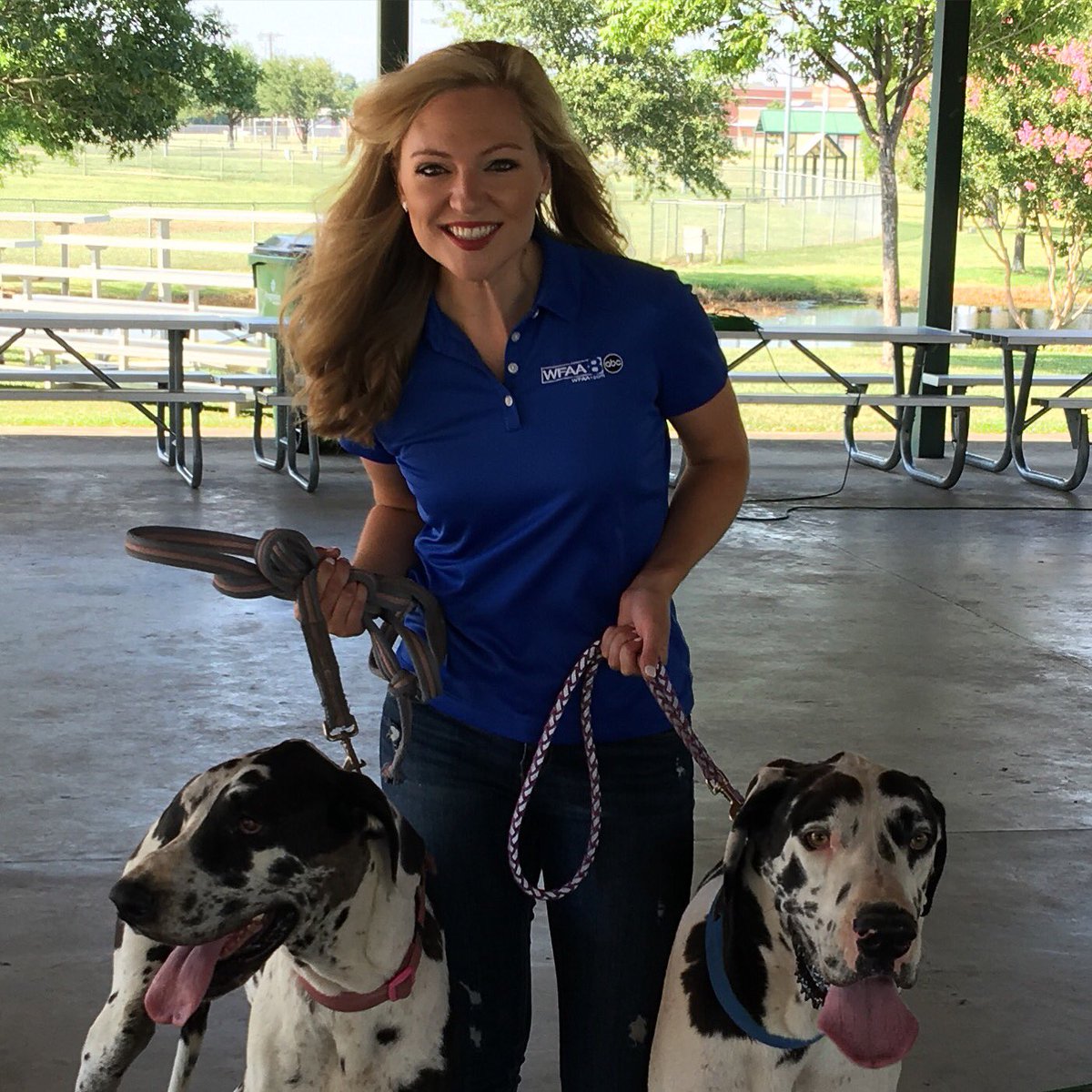 CillaWichmann's tweet photo. Fred & Wilma behaved awesome in the heat when @wfaaweathertoo @ColleenWeather came to #wfaaterrell #interrell https://t.co/xsAjj4pxAB