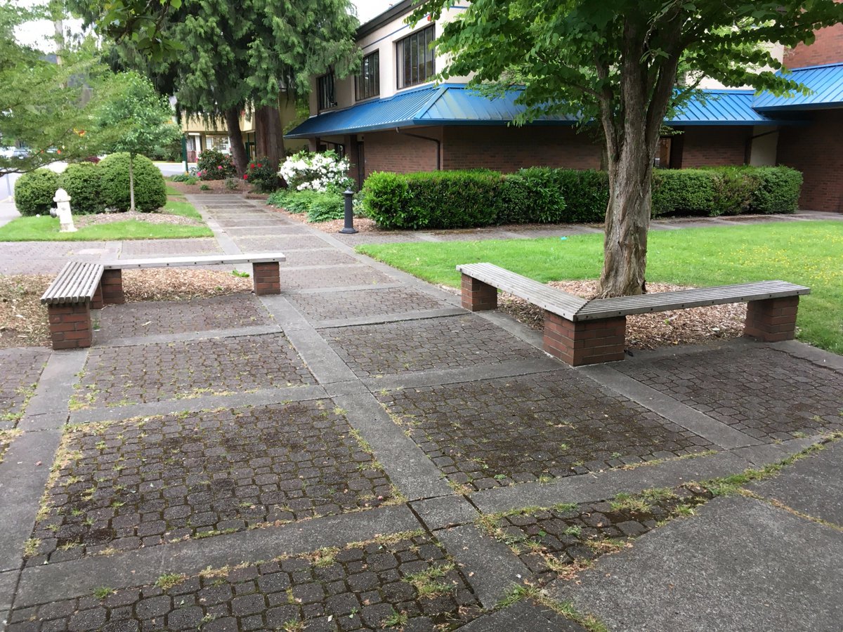 benchesofissy's tweet image. Celebrate an exciting city council meeting with a bunch of friends on these four benches outside city hall south.