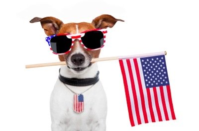 ALHwriter's tweet photo. Happy 4th of July weekend! Have fun and be safe. https://t.co/xjBjKEcoyq