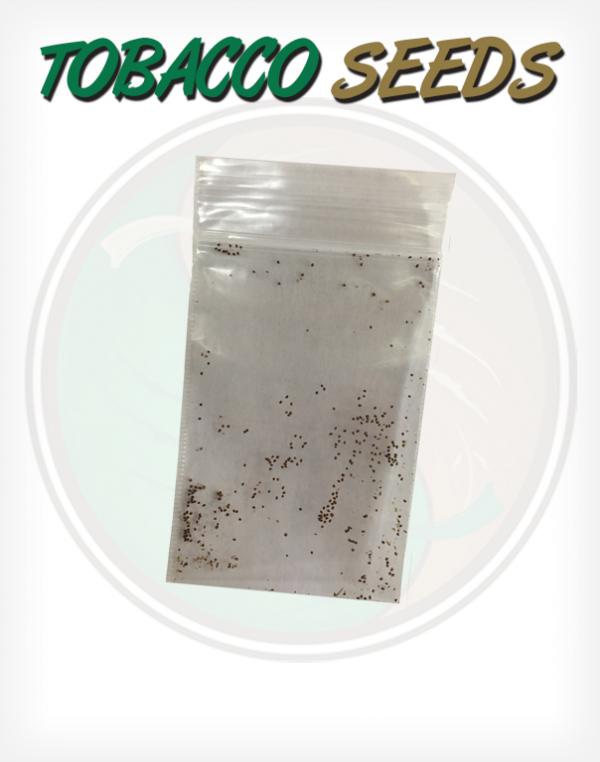 leafonly's tweet photo. Tobacco Seeds - Brown Leaf Dark Air / Fire for only $2.99 #leafonly https://t.co/7g8JyoKRrP https://t.co/tk4l9U3osN