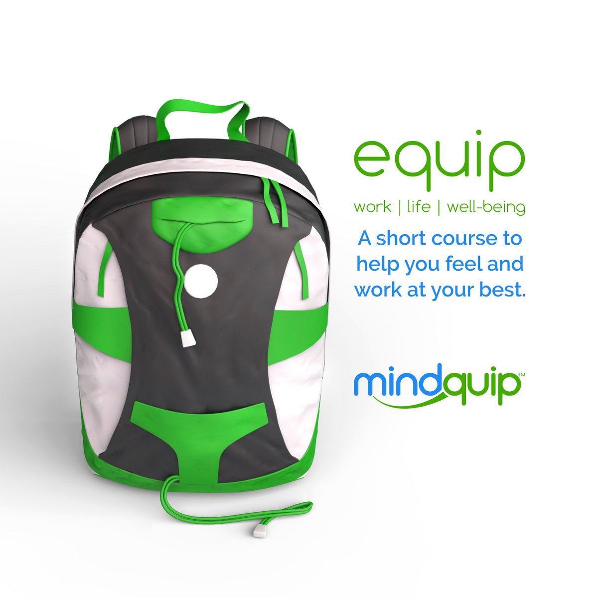 Mindquip tweet media