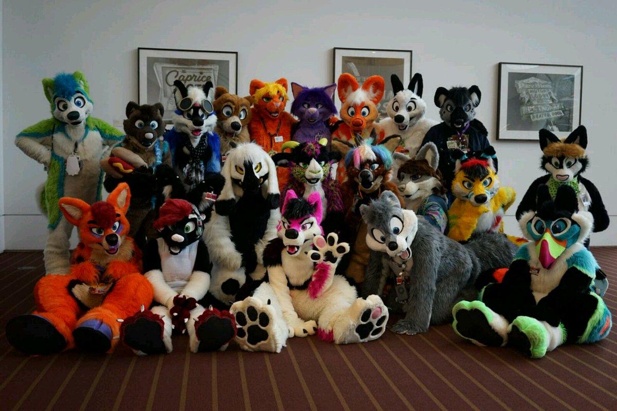 ThatsFurredUp's tweet photo. Thanks to everyone who was able to make it to the #Anthrocon photoshoot! https://t.co/eFgE08bDJM