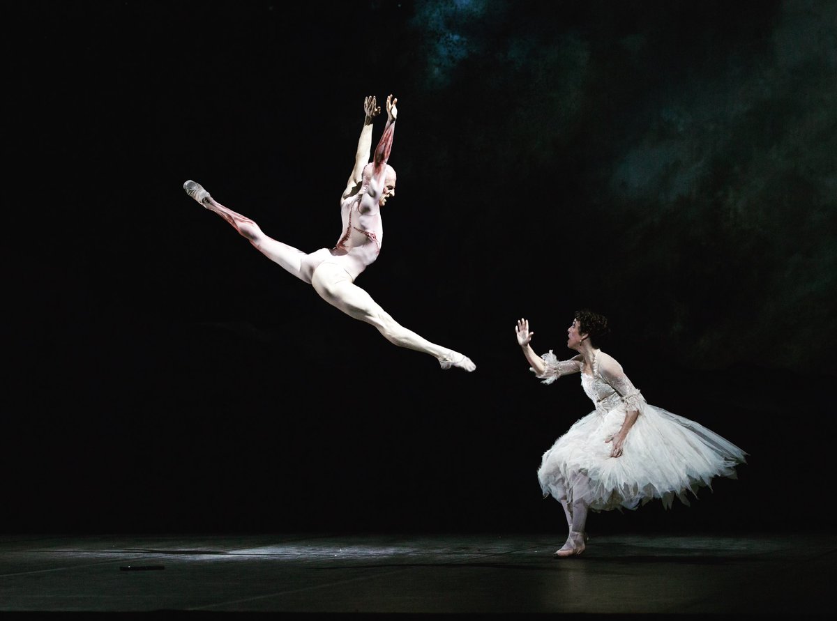 Steven McRae tweet media