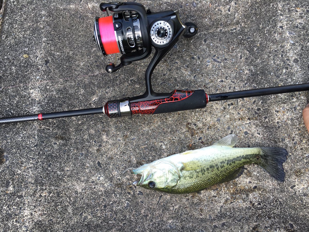 ただの釣りバカ 久しぶりにバス釣りに行ってきました 結果はまさかの45アップ二本w 一本目はドライブシャッド4 5で 二本目はドライブシュリンプ3のネコリグしかも サイトで釣れましたw 初心者の友達にも小バスが釣れてよかったです ただの釣りバカ 久しぶりにバス釣りに行ってきました 結果はまさかの45アップ二本w 一本目はドライブシャッド4 5で 二本目はドライブシュリンプ3のネコリグしかも サイトで釣れましたw 初心者の友達にも小バスが釣れてよかったです