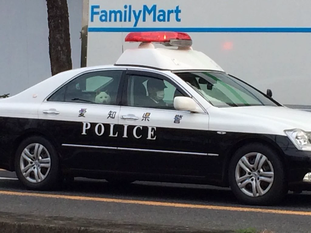 リアル犬のお巡りさんｗパトカーに乗った犬がシュールで笑うｗｗｗ