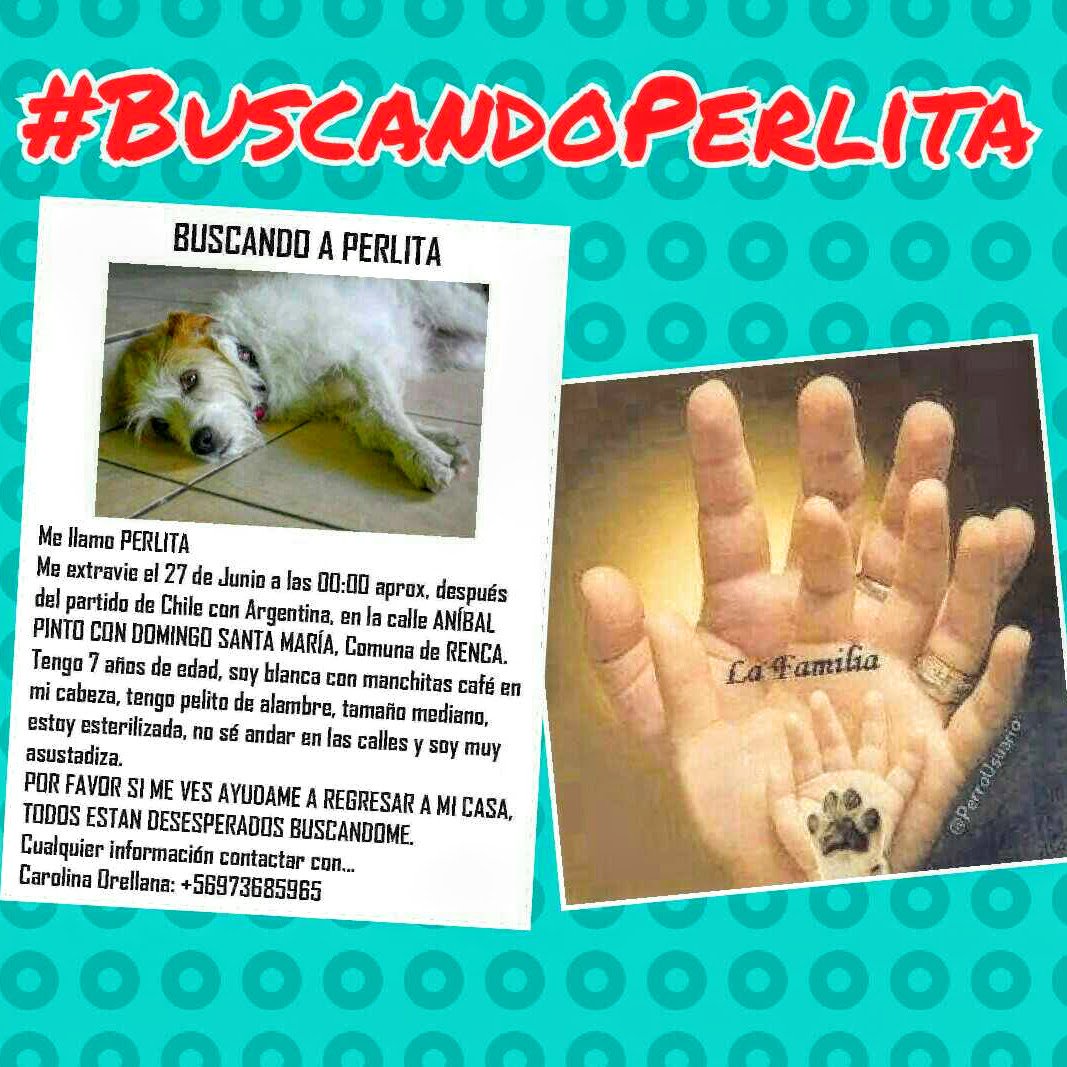 <a href="/madi_tol/">ÚLTIMA BATALLA !!!!! 🌳🌳🌳</a> <a href="/SOS_animalitos/">S.O.S. Animalitos</a> @digjazz <a href="/Trinufa/">Trina</a> <a href="/lindorfovet/">Sebastián Jiménez E.</a> <a href="/kattykowaleczko/">Katty Kowaleczko</a> <a href="/CarolinaDiAz_/">.</a> <a href="/jananeme/">Jose Antonio Nemen</a> <a href="/botaspuesta/">Paula BotasPuestas</a>