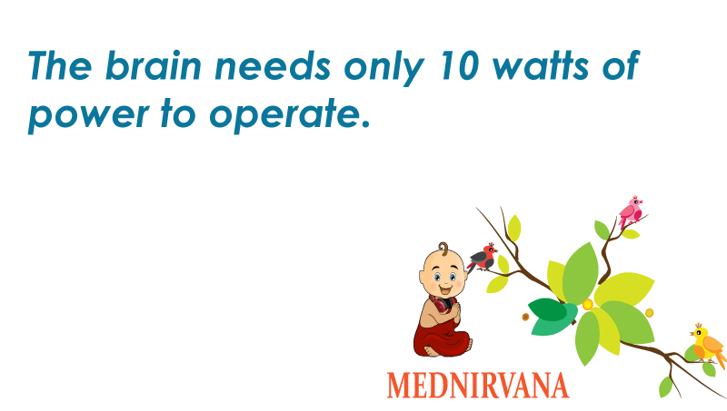 MedNirvana's tweet photo. The brain consumes only 10 watts power
Download from Google playstore
#Healthapp #Mednirvana #fairdoctorratings https://t.co/in22w20Zet