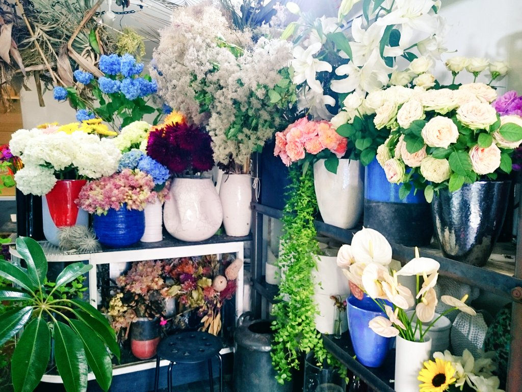 しほさんはtwitterを使っています 南青山のお友達の花屋 Logiへ行って少し休憩してきた グリーンとピンクのグラーデーションの可愛い薔薇 そして持ちがよい が入荷していたよ 大好きな食虫植物の空洞を撮ってみた T Co Smgqubgxih Twitter