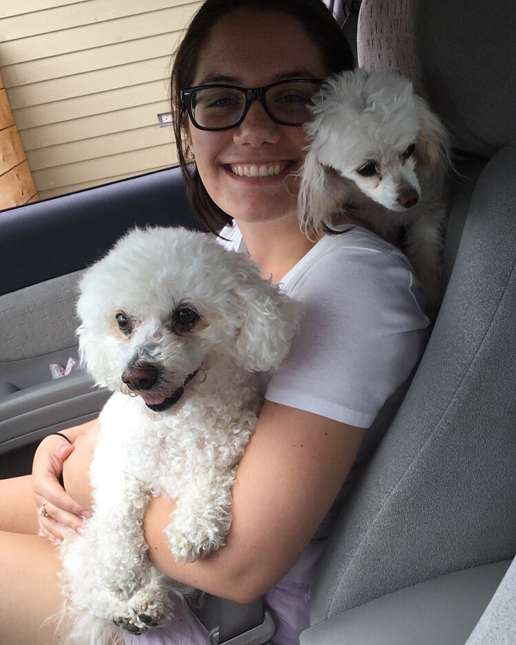 KatherineMils's tweet photo. I love my dogs I love my dogs I love my dogs I love my dogs I love my dogs I love my dogs I love my dogs I love my https://t.co/87F1EIjEoN