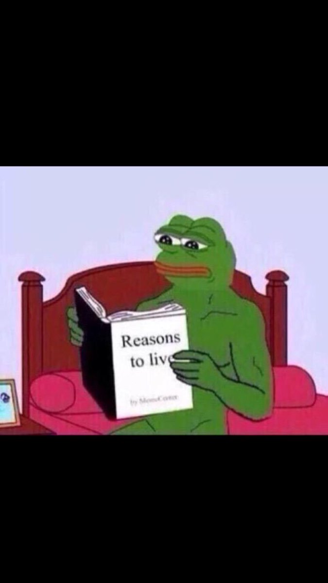 evandalto's tweet image. 