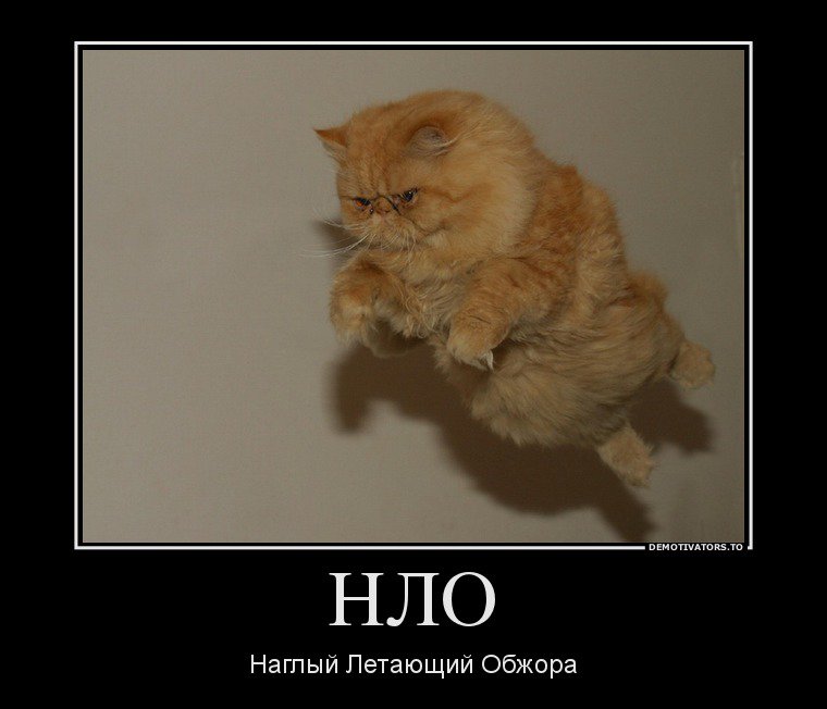 Котэ и волшебный гараж. Котэ представляет 1. Котенок котэ и волшебный гараж. Котэ мультик для малышей. Котэ демотиваторы.