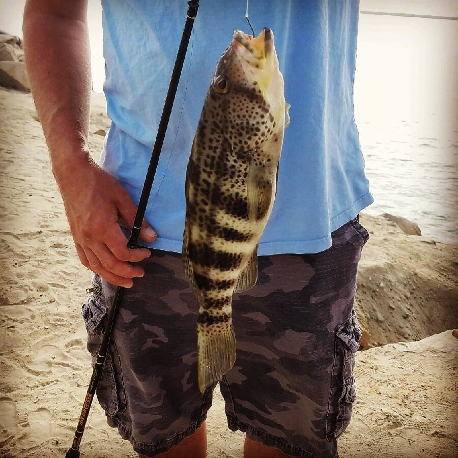 Squatch_lfr's tweet photo. Bay bass #fishing https://t.co/ZsM8yz7PLX
