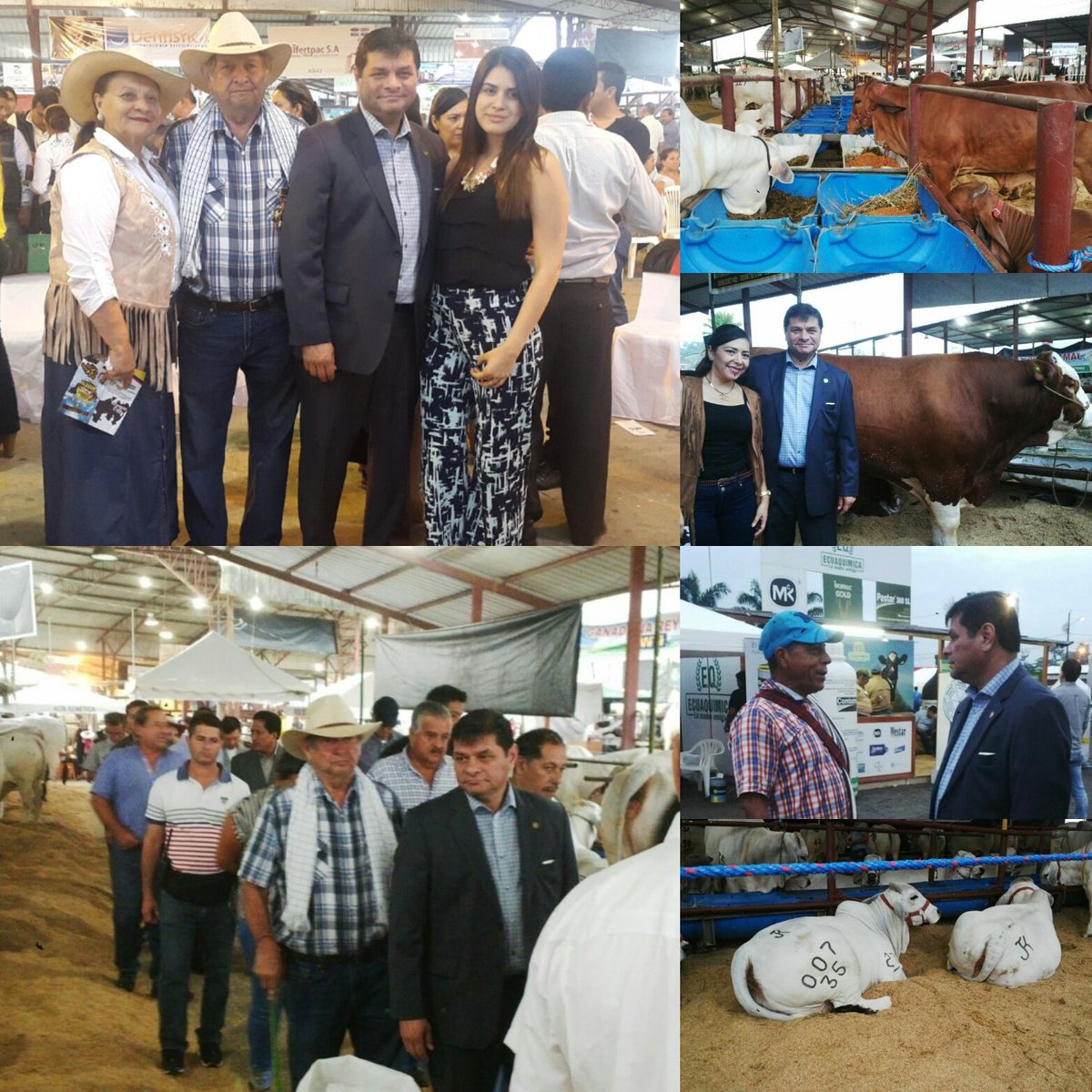 drwilliamgarzon's tweet photo. Gratos momentos compartidos en la inauguración de #EXPOGAN2016 #AgendaTerritorio #SDT éxito a tod@s l@s expositores! https://t.co/pzKSTZCDwQ