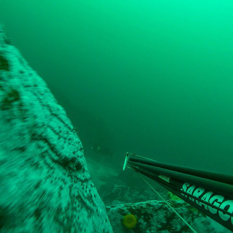 bobby j's bait and tackle