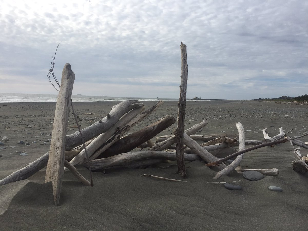 CautiousLB's tweet image. Beach Vibesss