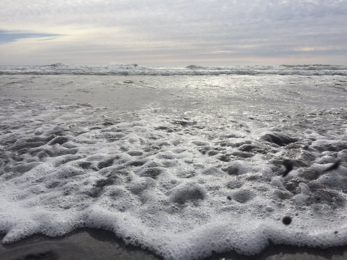 CautiousLB's tweet image. Beach Vibesss