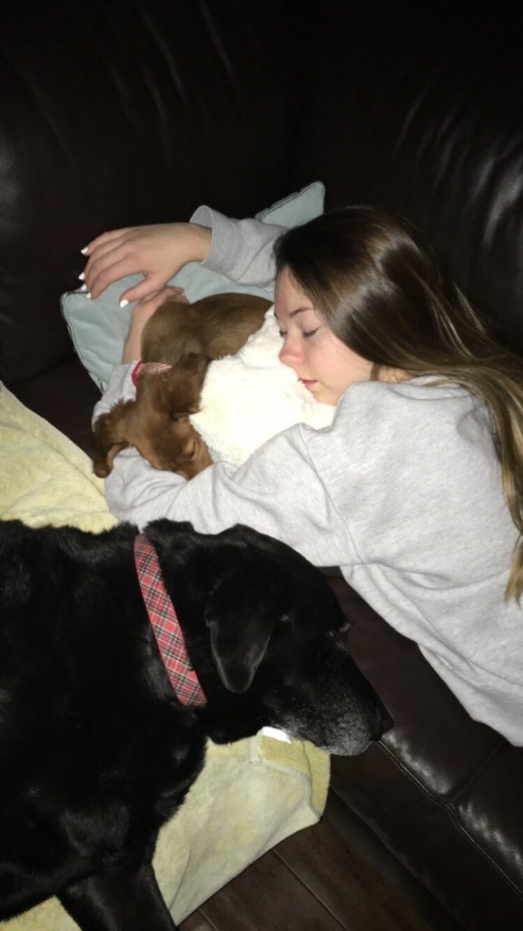 meres_merebears's tweet photo. Goodnight #merebears Sweet dreams! (can we just take a second to look at this ADORABLE  pic of @MeredithFoster ) 💖🐶😴 https://t.co/8PEN7H4Fld