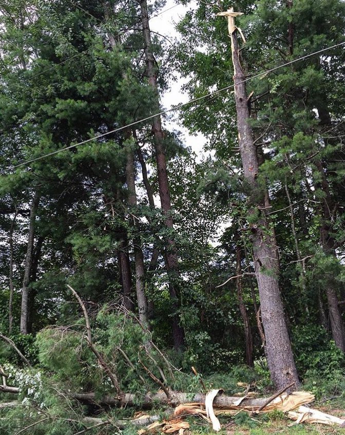 bhudson52213's tweet photo. what an amazing week, playing volleyball and lightening strikes a tree 15 feet away and a cross is left. God is good https://t.co/sxpY7vyu6U