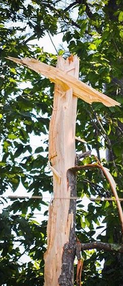 bhudson52213's tweet photo. what an amazing week, playing volleyball and lightening strikes a tree 15 feet away and a cross is left. God is good https://t.co/sxpY7vyu6U